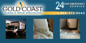 mold specialists San Diego CA