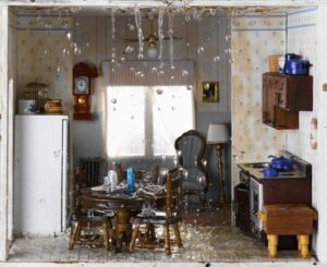 Roof Leaks & Homeowner’s Insurance