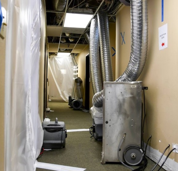 Mold Removal Spring Valley Ca