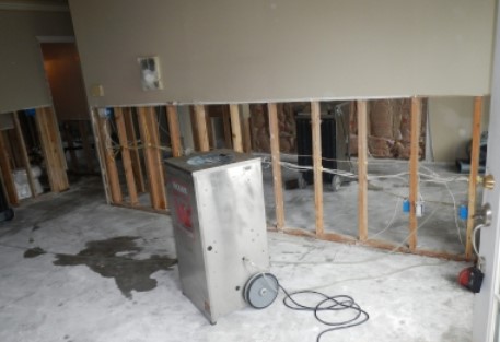 Mold Remediation La Mesa Ca