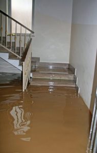 San Diego Water Damage Prevention