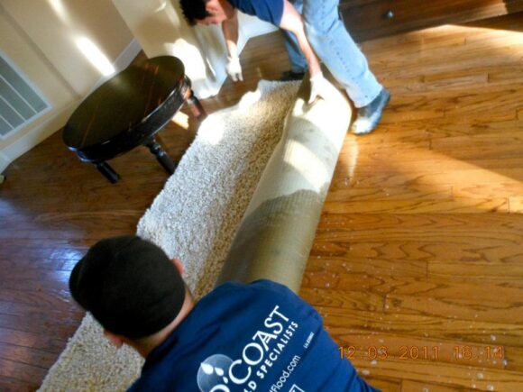 moldy-carpet-after-water-damage-gold-coast-flood-restorations