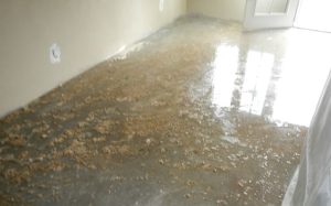 Water Removal San Diego CA