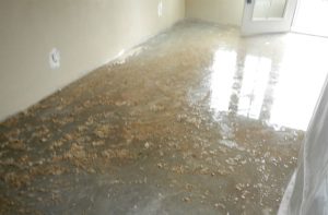 water damage and mold removal insurance claims