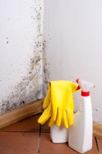 mold remediation San Diego CA