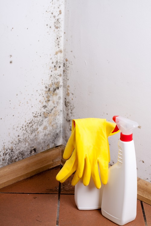 Water Damage Restoration Services Spring Valley Ca