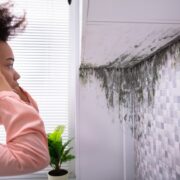 Remediation For Mold: The Ultimate Guide