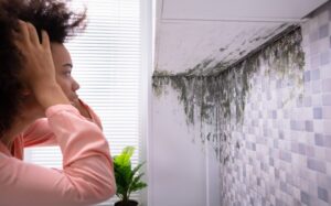 Remediation For Mold: The Ultimate Guide