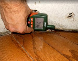 Why Mold Remediation is Best Done by a Flood Company