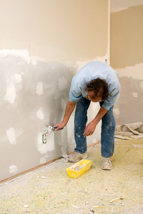 Mold Remediation Quotes Spring Valley Ca