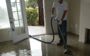 The Ultimate Guide to Professional Water Damage Repairs: Why Calling an Expert is Essential for Your Walls and Floors