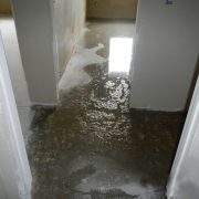 The Ultimate Guide to Water Damage and Mold Removal Insurance Claims
