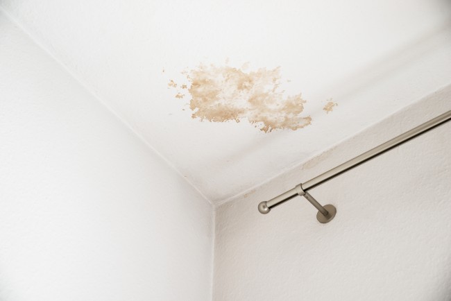 Mold Remediation San Diego