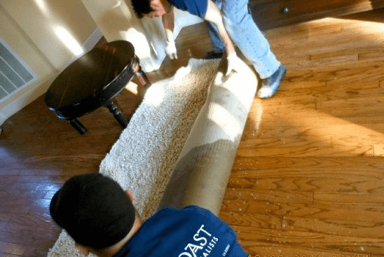 Mold Removal San Diego