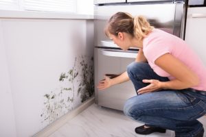 Mold in an apartment kitchen - San Diego CA - Gold Coast Flood Restorations