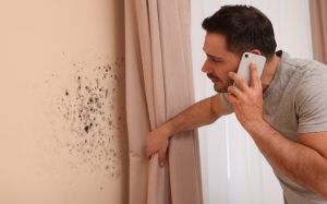 The Hidden Dangers of Mold: Is Your Home Making You Sick?