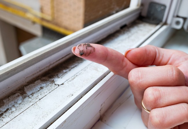 Mold on window sill San Diego CA - Gold Coast Flood Restorations