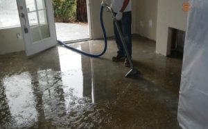 Reviving Spaces: Transformative Water Cleanup Services That Bring Life Back to Your Home
