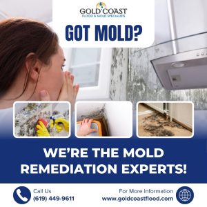 Mold remediation experts - Gold Coast Flood Restorations - San Diego CA