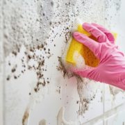 Bathroom Mold Removal in San Diego: A Comprehensive Guide to Remediation and Prevention