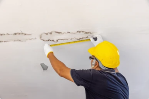 mold contractors near you - Gold Coast San Diego CA