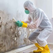 Commercial Mold Removal San Diego: Expert Services by Gold Coast Flood Restorations