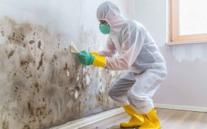 Commercial Mold Removal San Diego: Expert Services by Gold Coast Flood Restorations