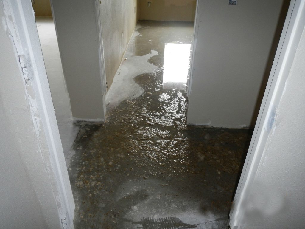 Emergency Water Removal Services Near Santee