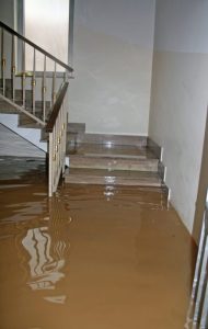 Water Damage Repair in Santee