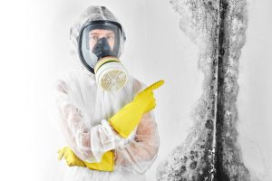 Mold Removal Services in Mira Mesa