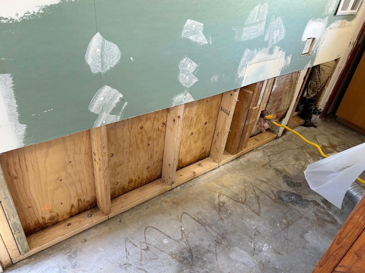 Certified Mold Removal in San Diego: Your Complete Guide
