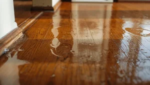 La Jolla water damage