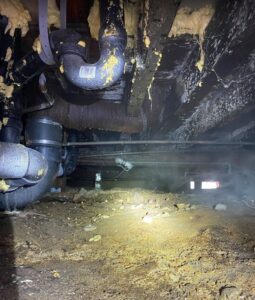 mold removal specialists San Diego CA - Gold Coast Flood Restorations