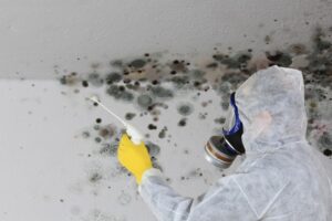 Professional mold remediation expert in a hazmat suit spraying antimicrobial treatment on black mold growth on a ceiling.